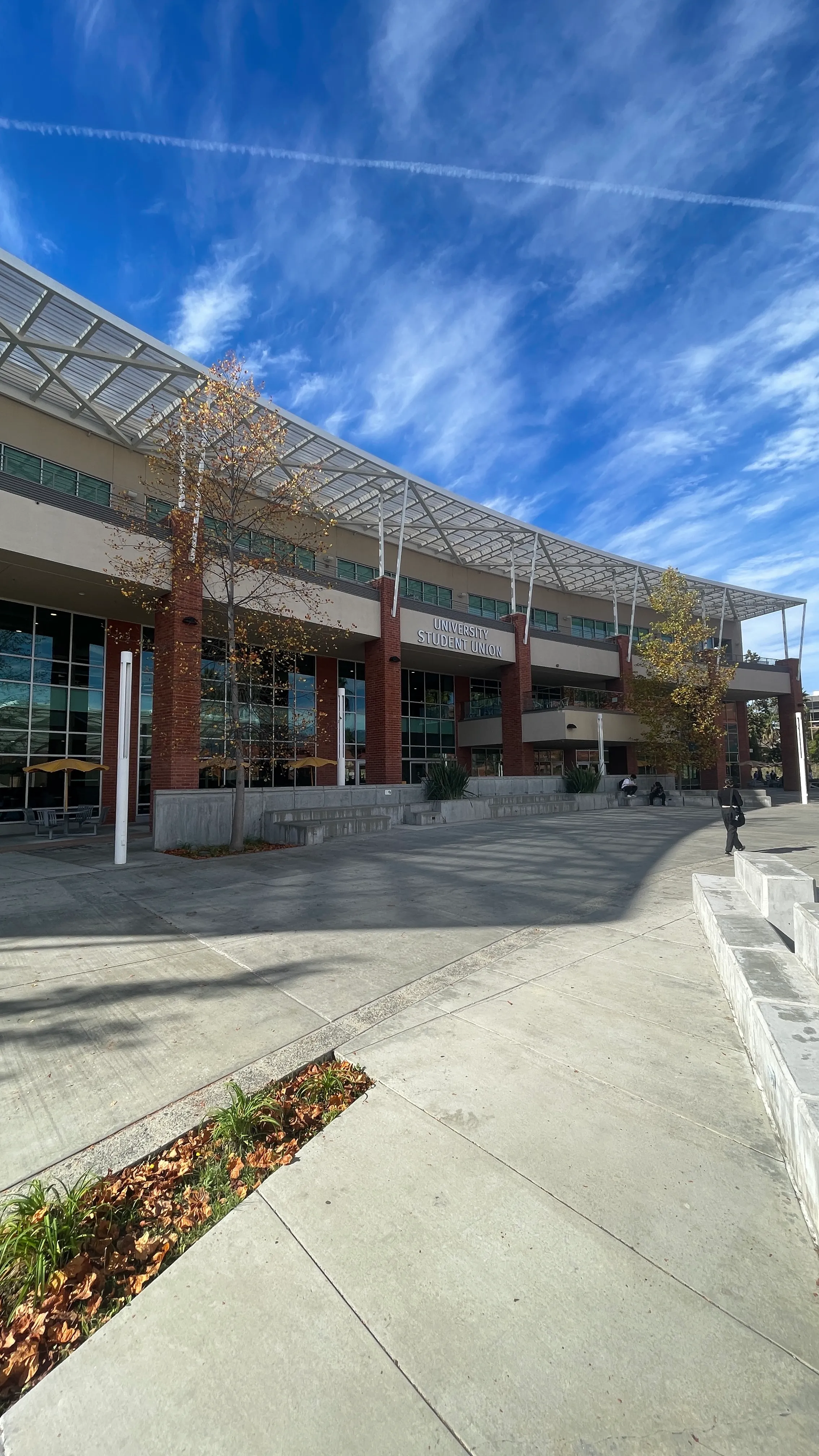 Cal State LA Fraternity and Sorority students